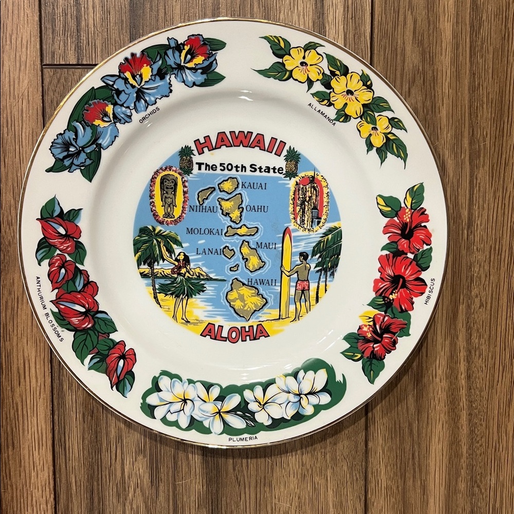 Vintage Hawaii state wall plate